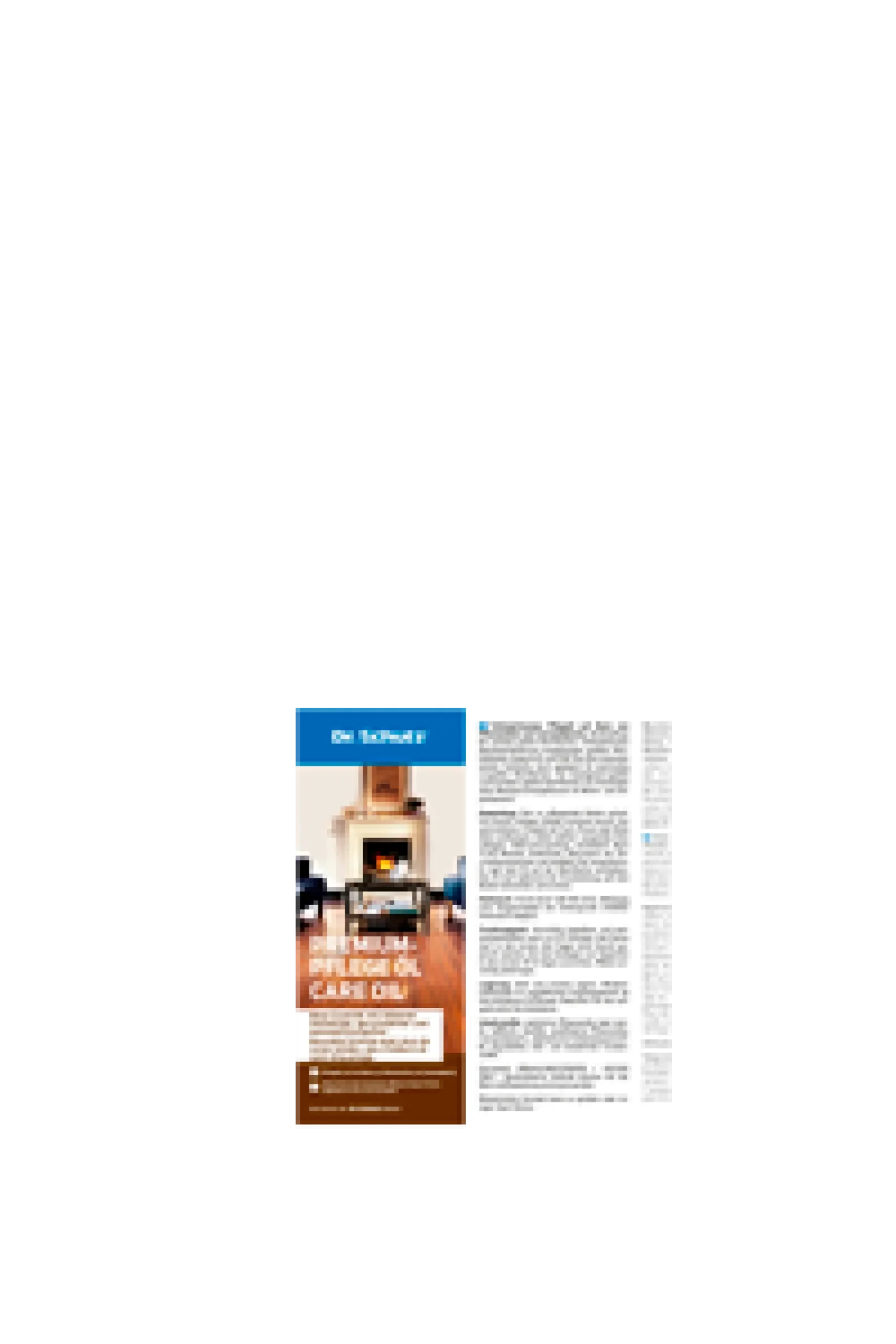 Dr. Schutz Premium Pflegeöl 1 Liter