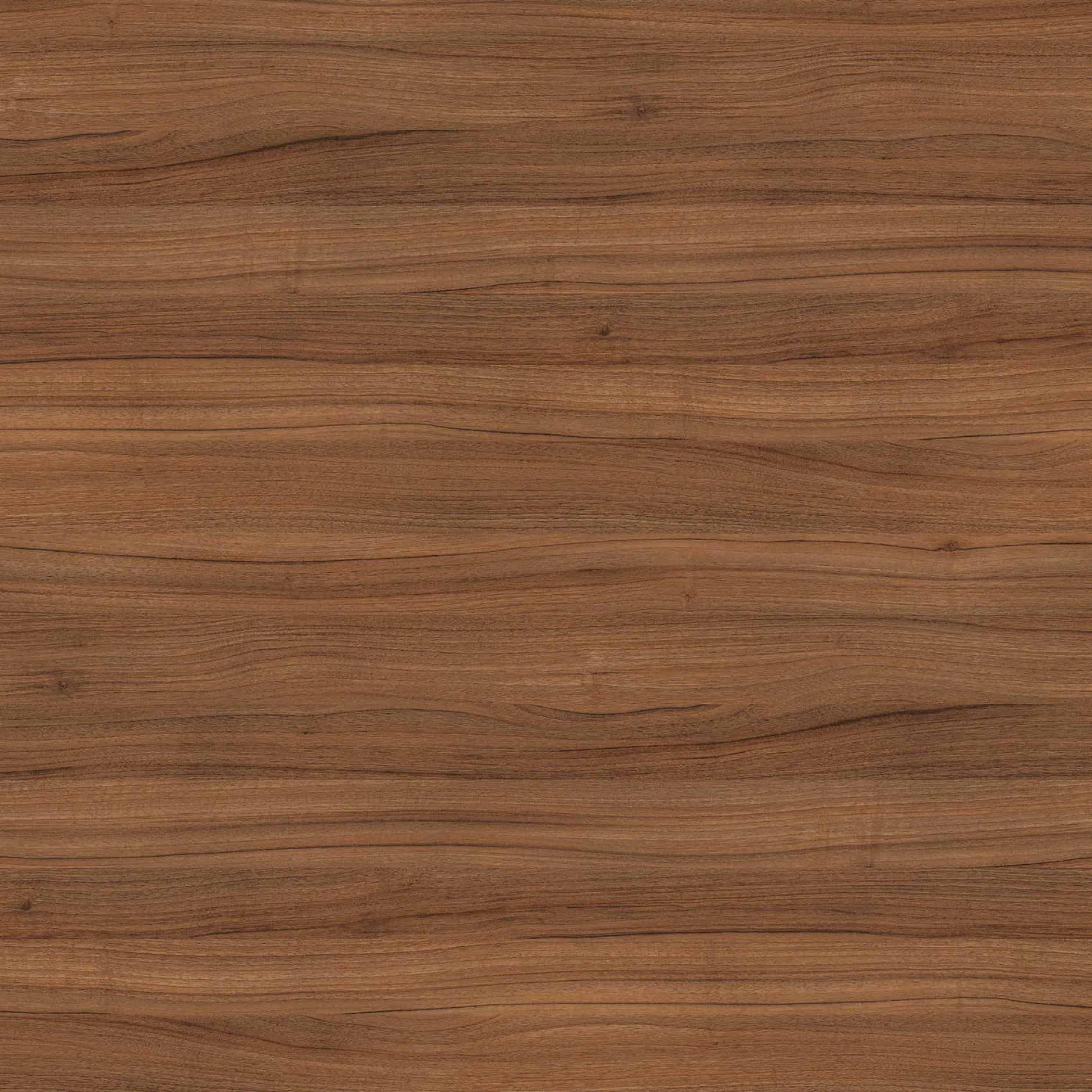 Holzlasur Nussbaum seidenglänzend - 2,5l - The Color Kitchen