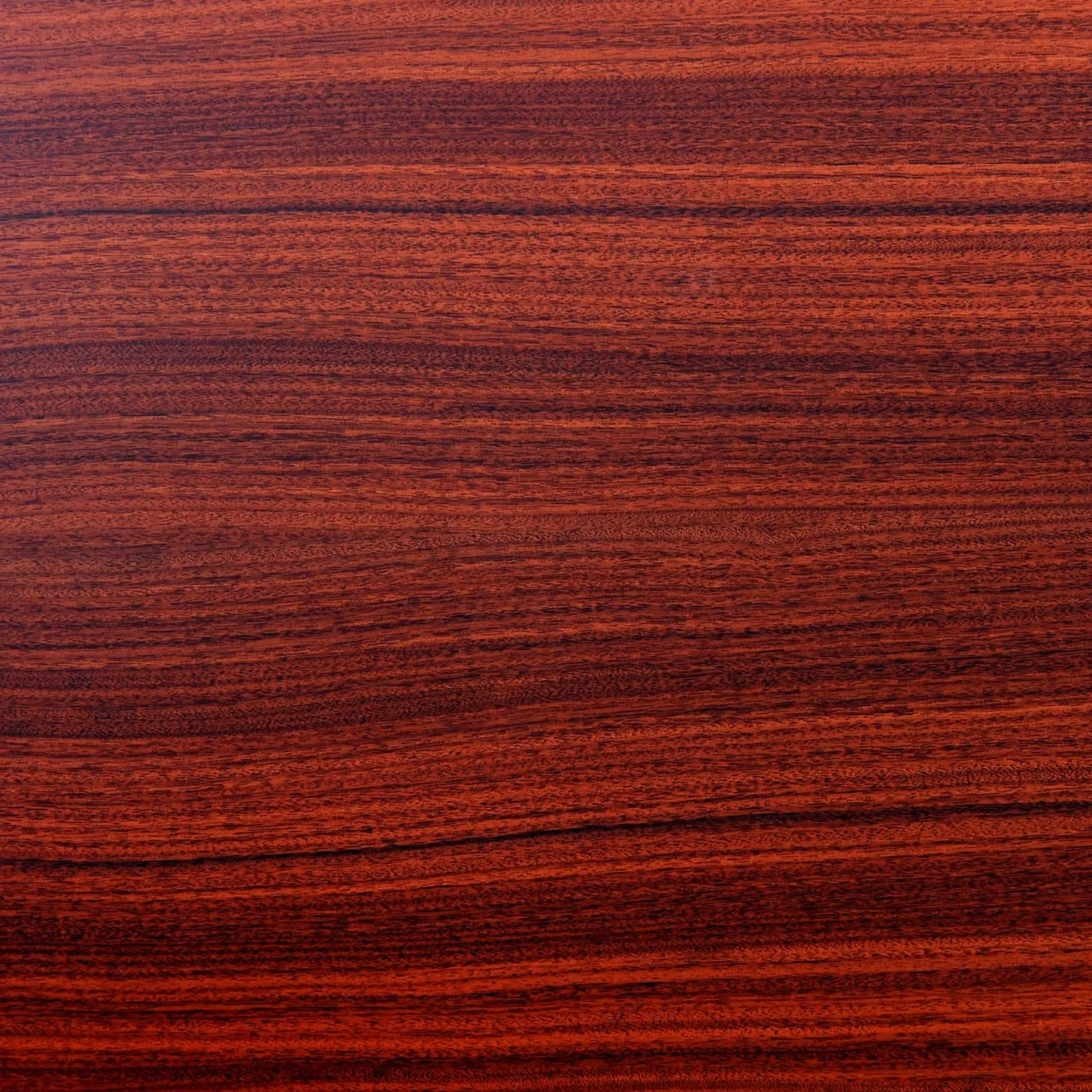 Holzlasur Palisander seidenglänzend - 2,5 l - The Color Kitchen