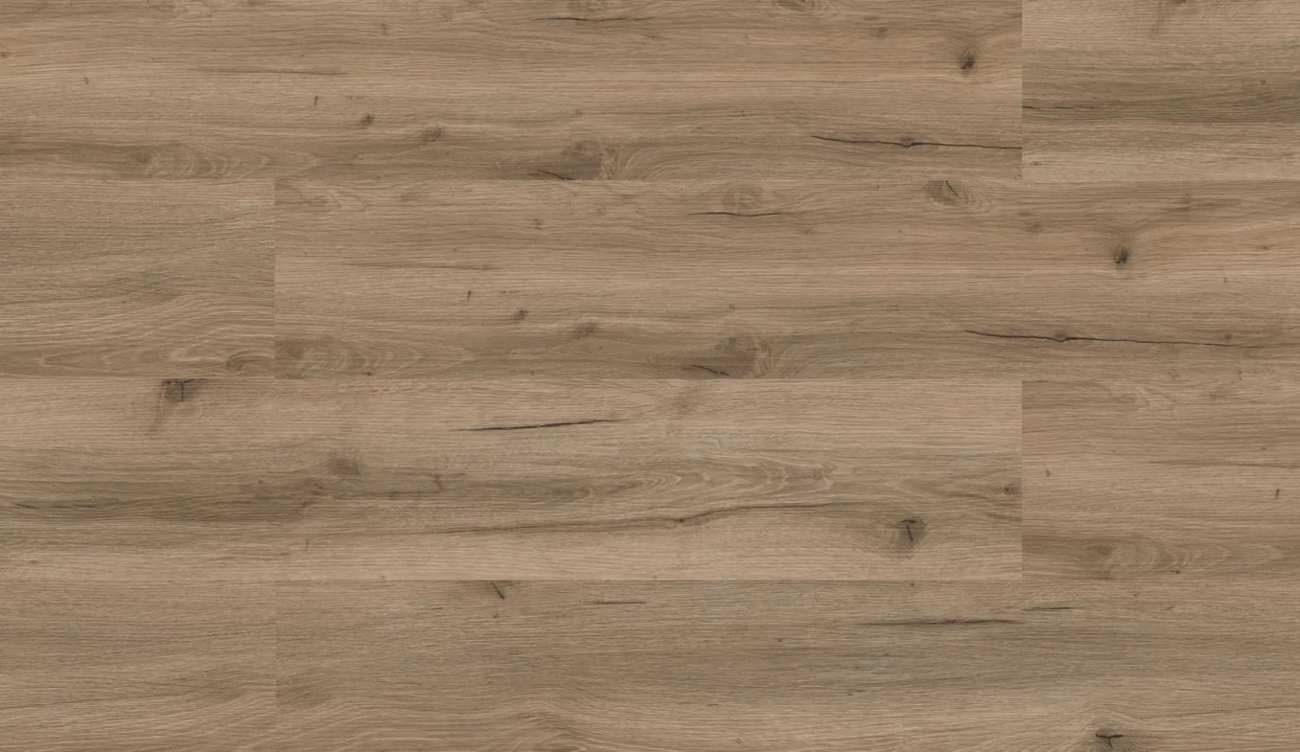 Klebevinyl Repac LEGEND OAK Eiche Hansegrau MF99944