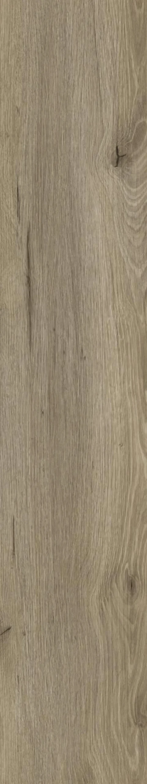Klebevinyl Repac LEGEND OAK Eiche Hansegrau MF99944
