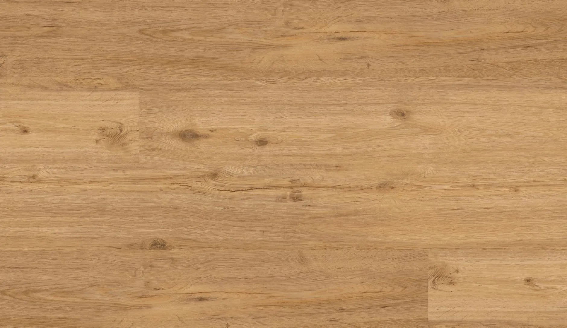 Klebevinyl Repac LEGEND OAK Eiche Gebürstet MF99948