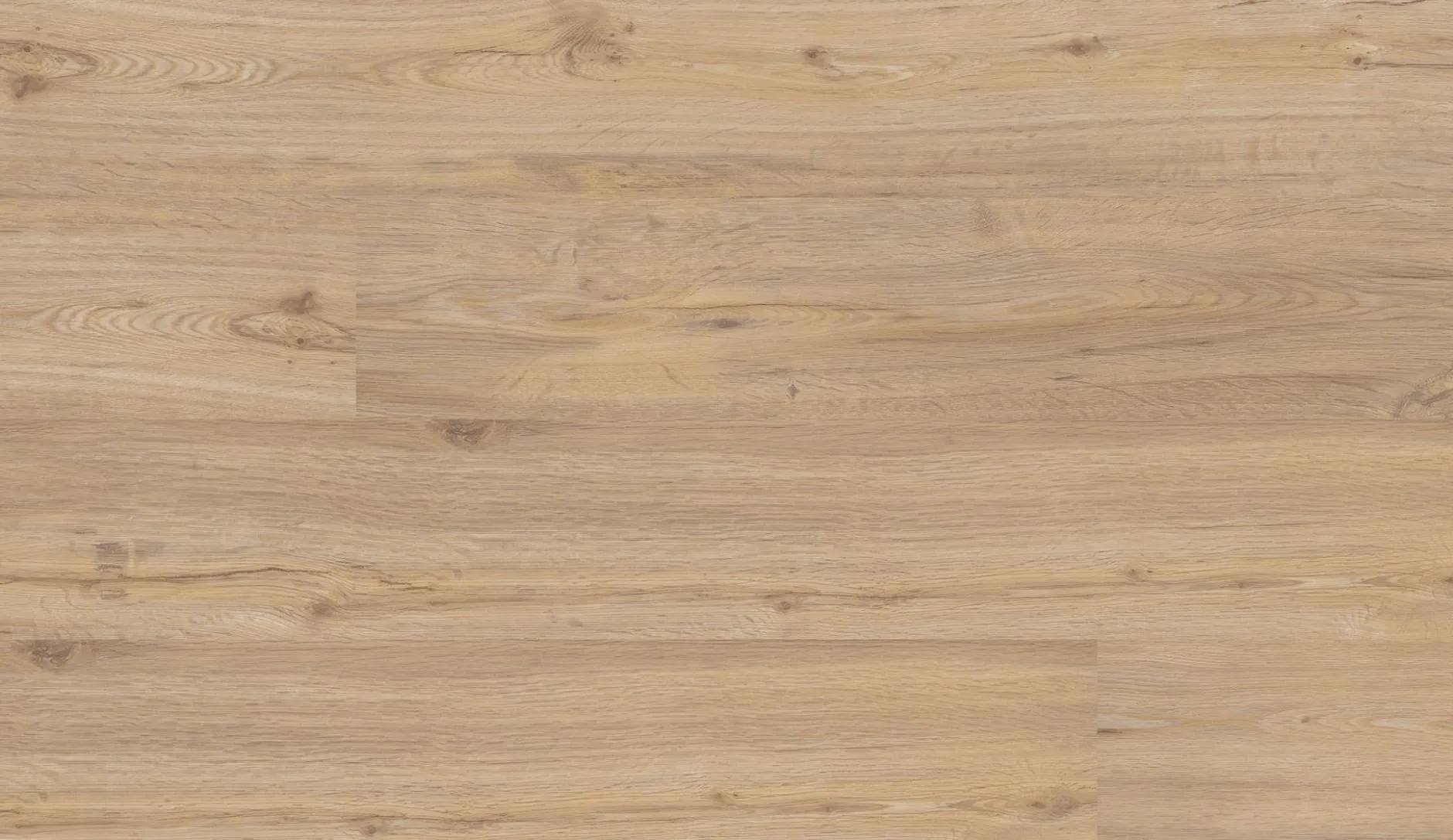 Klebevinyl Repac LEGEND OAK Eiche Hell MF99949