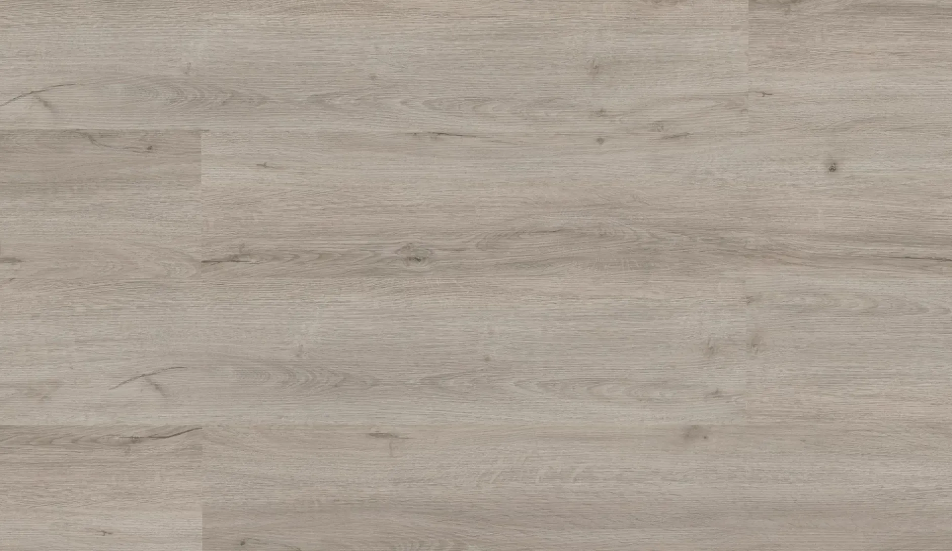 Klebevinyl Repac LEGEND OAK Eiche Hellgrau MF99946