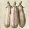 Leinwand Aubergine Light 30 x 30 cm