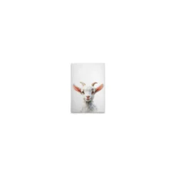 Leinwand Baby Billy Goat 30 x 45 cm