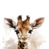 Leinwand Baby Giraffe 30 x 45 cm