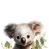 Leinwand Baby Koala 30 x 45 cm