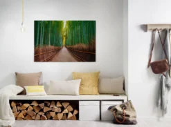 Leinwandbild Bambuswald, grün, 90x60 cm DD120306