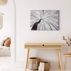 Leinwandbild Baum, grau, 70x50 cm DD123022