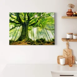 Leinwandbild Baum, grün, 70x50 cm DD123012