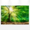 Leinwandbild Baum, grün, 90x60 cm DD120310