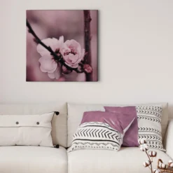 Leinwandbild Blüte, rosa, 50x50 cm DD123259