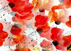 Leinwandbild Blumen, rot, 70x50 cm DD123415