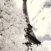 Leinwandbild Eiffelturm, sepia, 50x70 cm DD123113