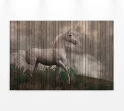 Leinwandbild Einhorn, braun, 90x60 cm DD120477