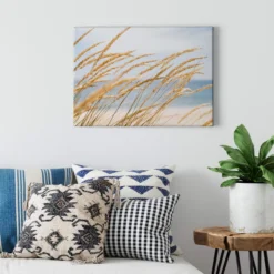 Leinwandbild Gräser, beige, 70x50 cm DD123036
