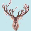 Leinwandbild Hirsch, hellblau, 50x70 cm DD123178