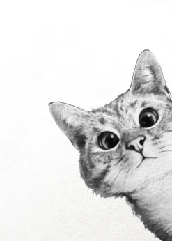 Leinwandbild Katze, weiß, 50x70 cm DD123175