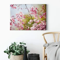 Leinwandbild Kirschblüten, rosa, 70x50 cm DD123038