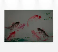 Leinwandbild Koi-Karpfen, grau, 90x60 cm DD120400