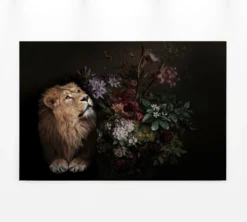 Leinwandbild Löwe, goldbraun, 90x60 cm DD120388