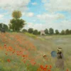 Leinwandbild Mohnblumen, rot, 70x50 cm DD123065