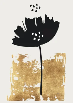 Leinwandbild Mohnblume, schwarz, 50x70 cm DD123156