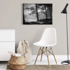 Leinwandbild Natur, schwarz, 70x50 cm DD123021