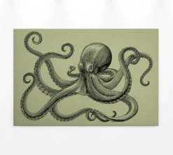 Leinwandbild Oktopus, olivgrün, 90x60 cm DD120496