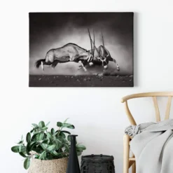 Leinwandbild Oryxantilopen, schwarz, 70x50 cm DD123045