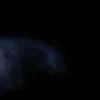 Leinwandbild Panther, schwarz, 100x40 cm DD123227