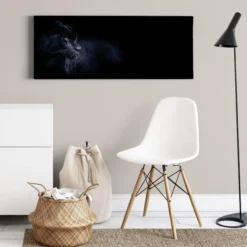 Leinwandbild Panther, schwarz, 100x40 cm DD123227
