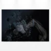 Leinwandbild Pferd, schwarz, 90x60 cm DD120391