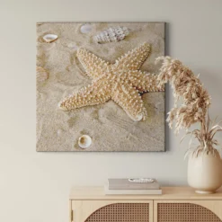 Leinwandbild Seestern, beige, 50x50 cm DD123269
