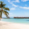 Leinwandbild Strand, blau, 100x40 cm DD123210