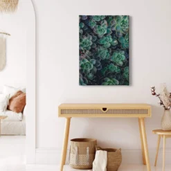 Leinwandbild Sukkulenten, grün, 50x70 cm DD123120