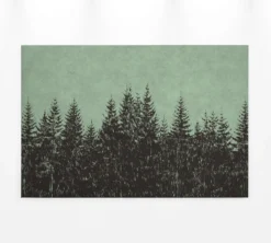 Leinwandbild Tannenwald, dunkelgrün, 90x60 cm DD120385