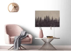 Leinwandbild Tannenwald, schwarz, 90x60 cm DD120384
