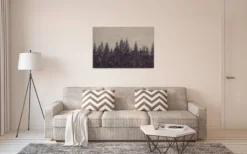 Leinwandbild Tannenwald, schwarz, 90x60 cm DD120384