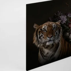 Leinwandbild Tiger, orange, 90x60 cm DD120387