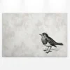 Leinwandbild Vogel, grau, 90x60 cm DD120367