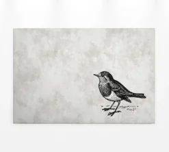 Leinwandbild Vogel, grau, 90x60 cm DD120367