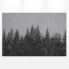 Leinwandbild Wald, schwarz, 90x60 cm DD120386