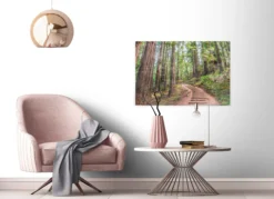 Leinwandbild Wald, 90x60 cm DD120304