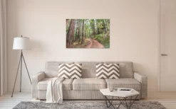 Leinwandbild Wald, 90x60 cm DD120304