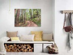 Leinwandbild Wald, 90x60 cm DD120304