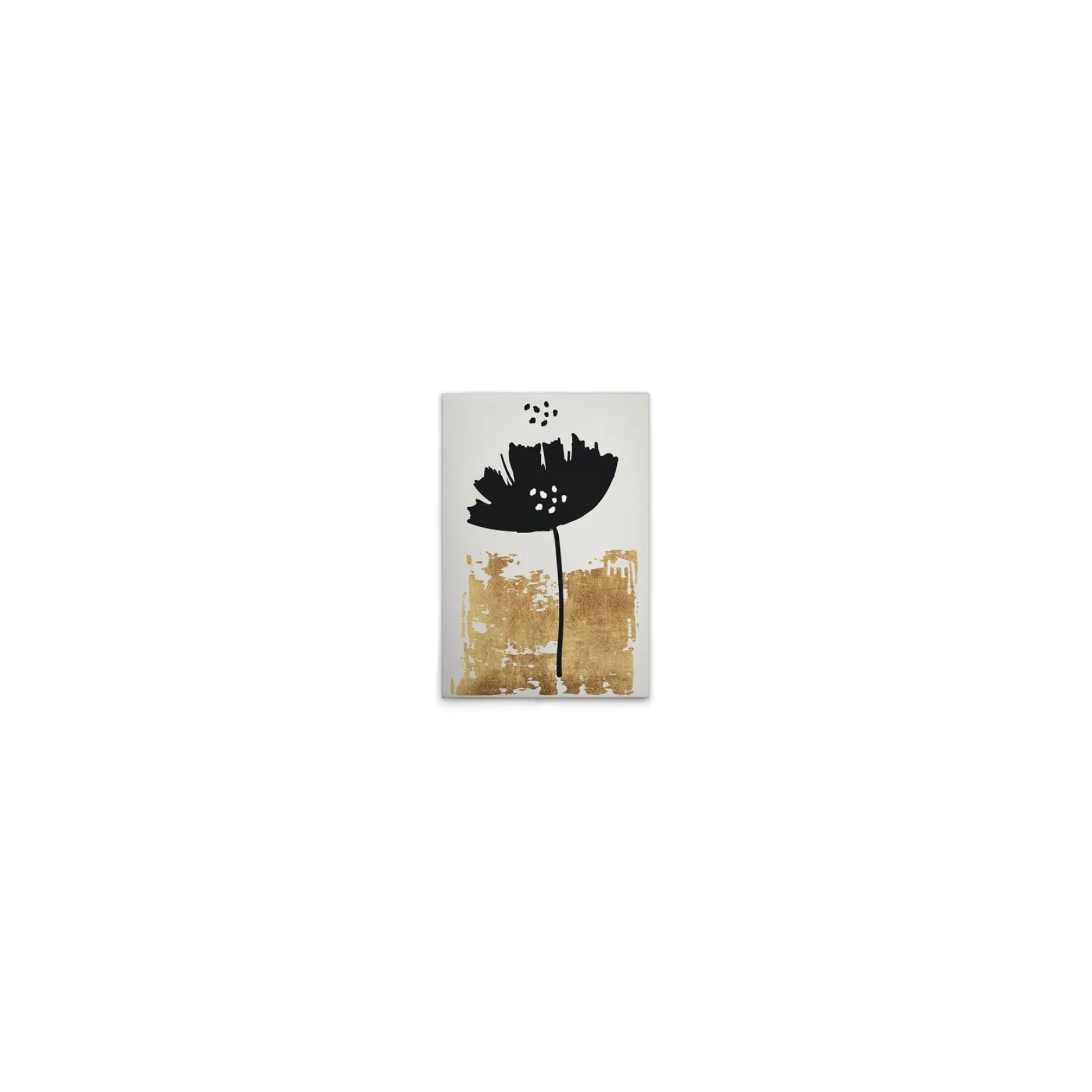 Leinwand Black Poppy 30 x 45 cm