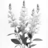 Leinwand Blumen SW I 40 x 50 cm