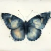 Leinwand Butterfly 50 x 40 cm